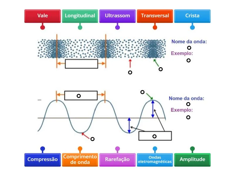 Ondas Longitudinais e transversais - Labelled diagram
