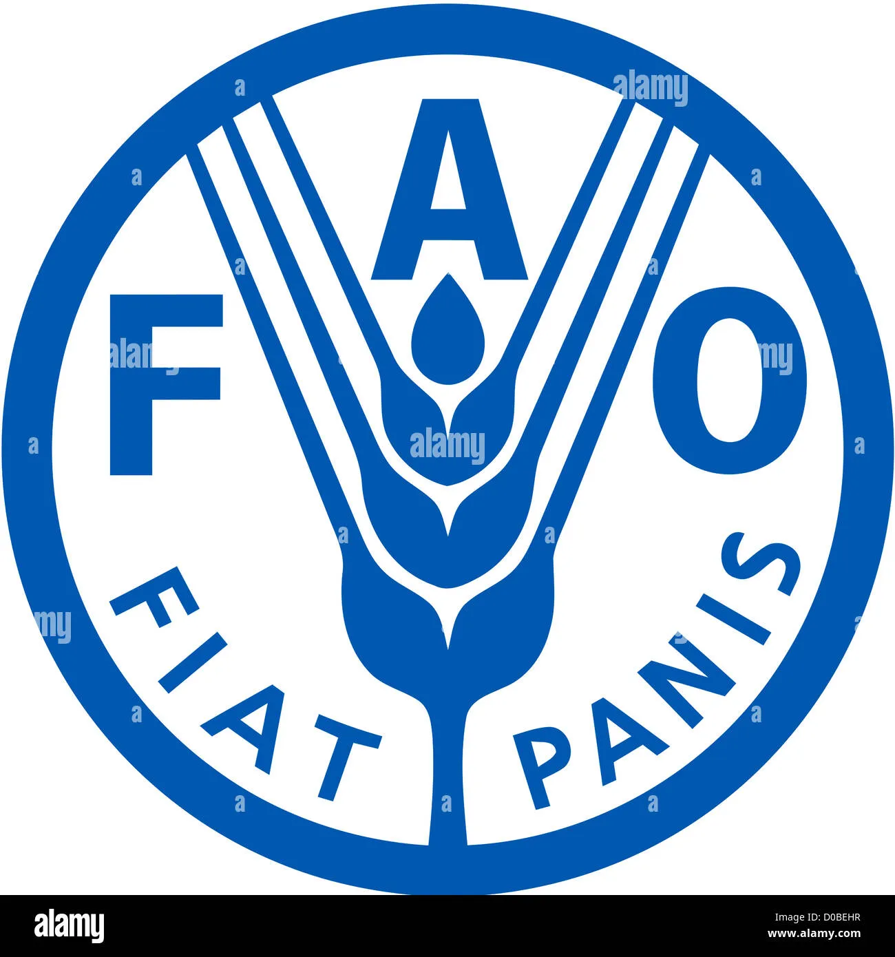 United Nations Food And Agriculture Organization High Resolution Stock ...