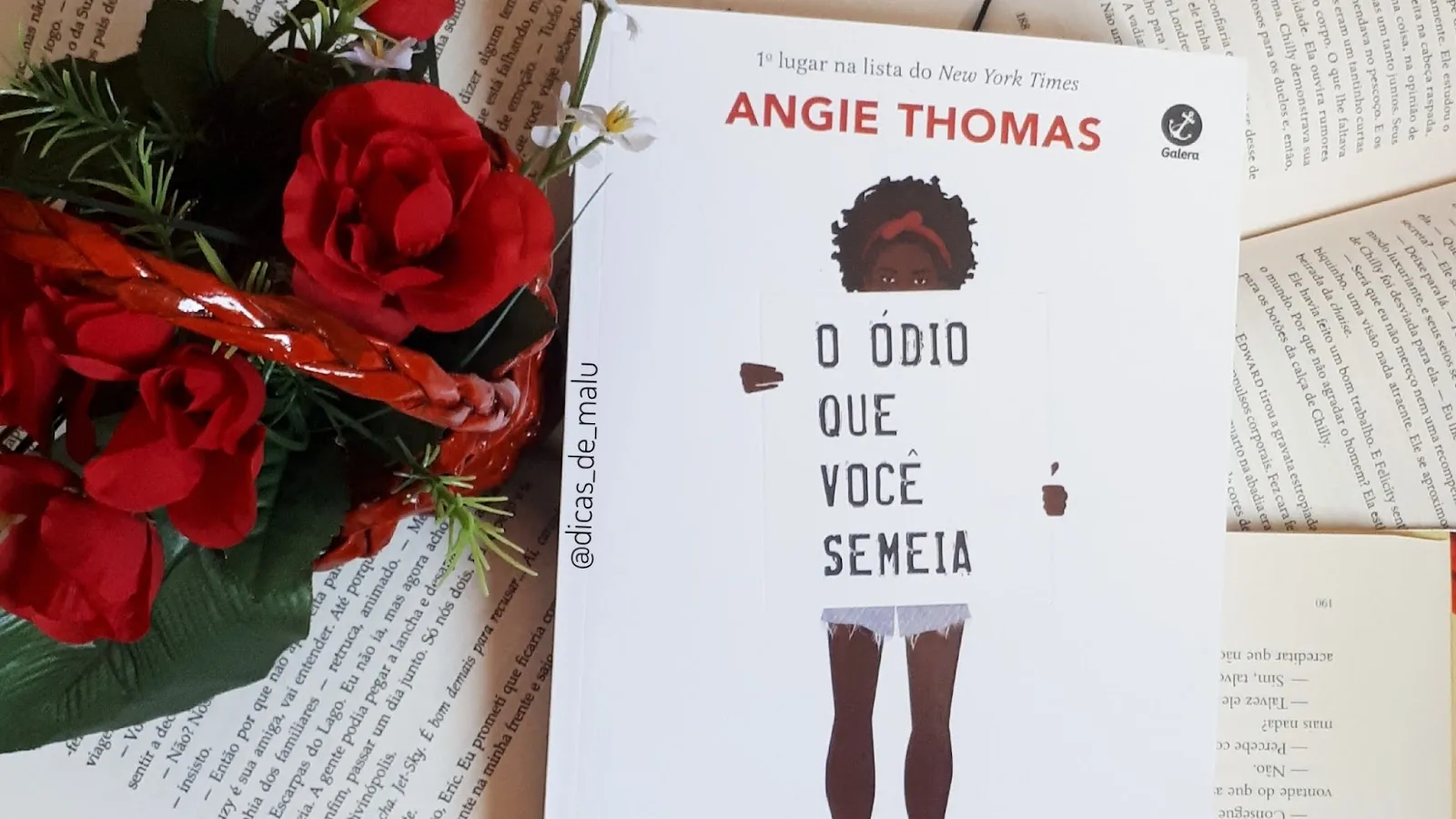[Resenha] O ódio que você semeia | Dicas de Malu