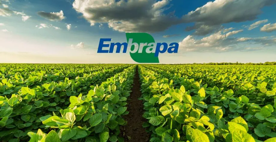 Embrapa gera lucro social de R$ 85,12 bi em 2023 com 182 tecnologias ...
