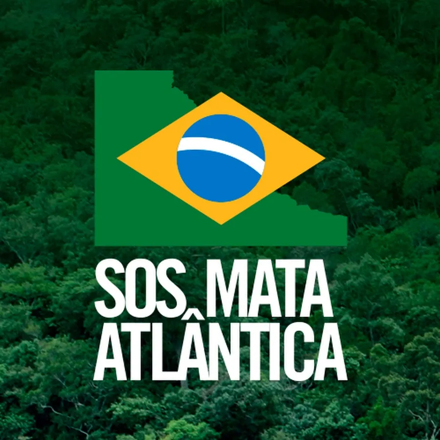 Fundação SOS Mata Atlântica - YouTube