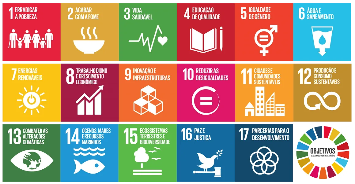 As Bibliotecas e a implementação dos ODS da Agenda 2030 da ONU