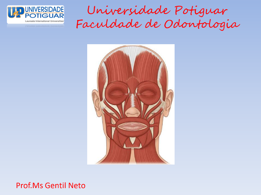Músculos da Face: Anatomia para Odontologia – Prof. Gentil Neto