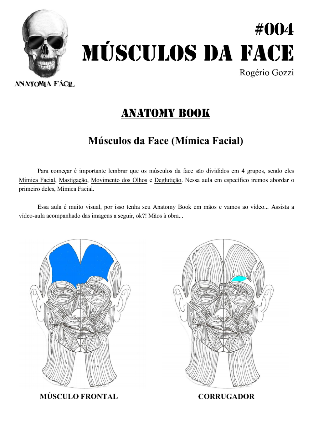 Músculos da Face: Anatomia e Mímica Facial por Rogério Gozzi