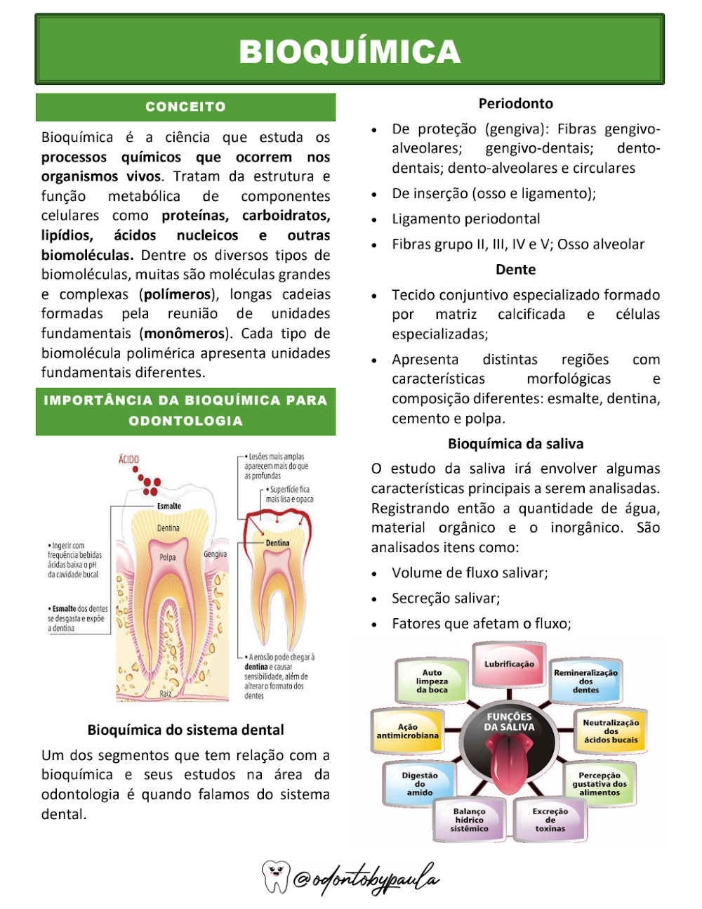 Bioquímica na Odontologia: Resumo Essencial e Funções da Saliva
