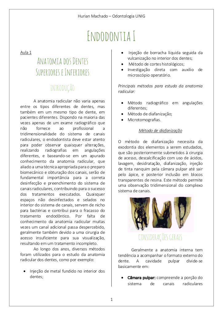 Endodontia I: Anatomia dos Dentes Superiores e Inferiores