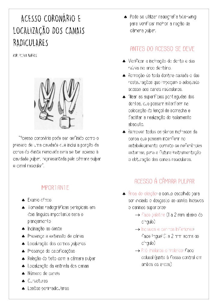 Guia de Acesso Coronário e Localização de Canais Radiculares