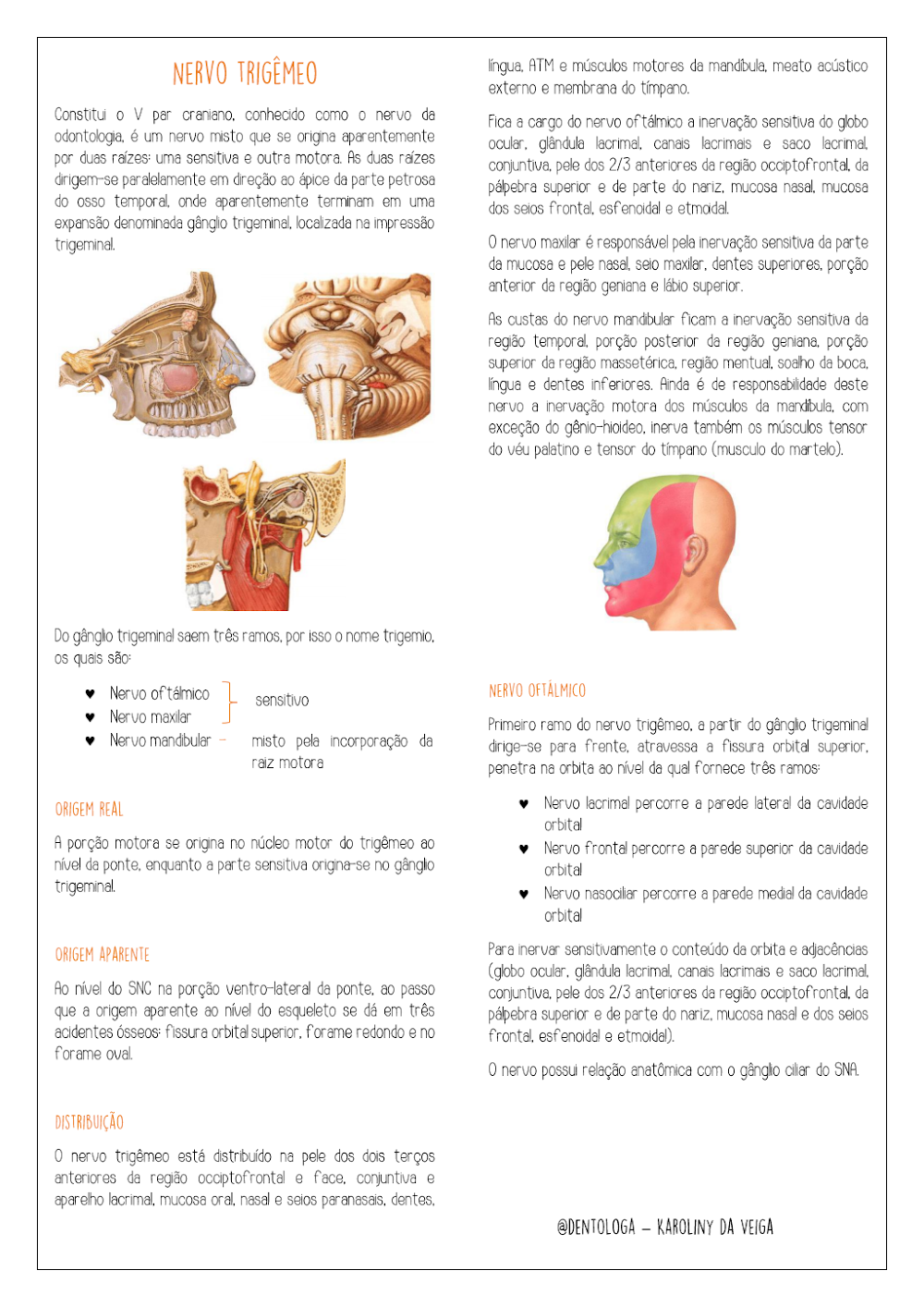 Nervo Trigêmeo: Anatomia e Inervação para Odontologia