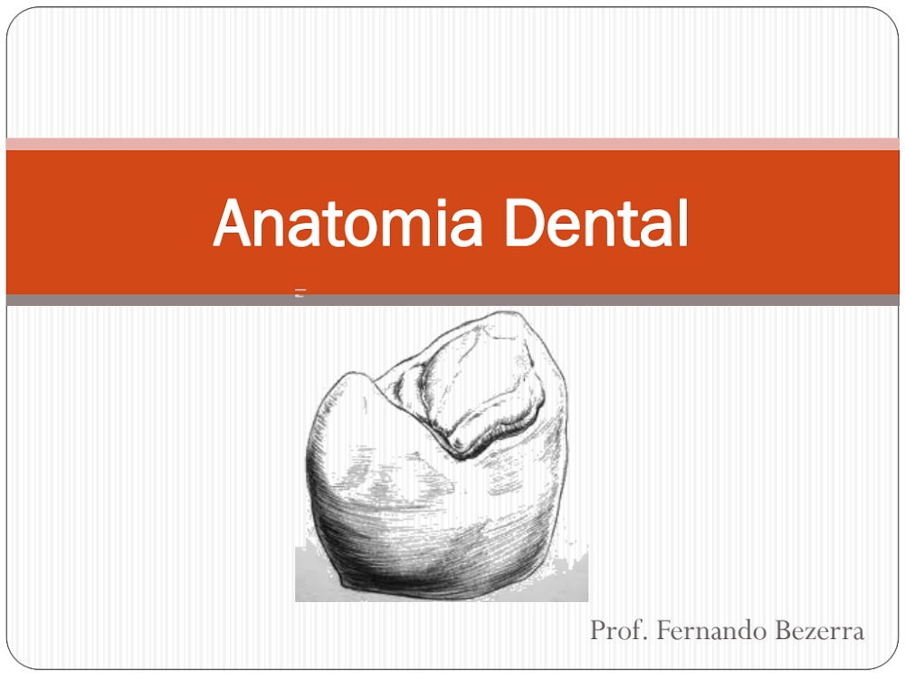 Anatomia Dental: Material Didático do Prof. Fernando Bezerra