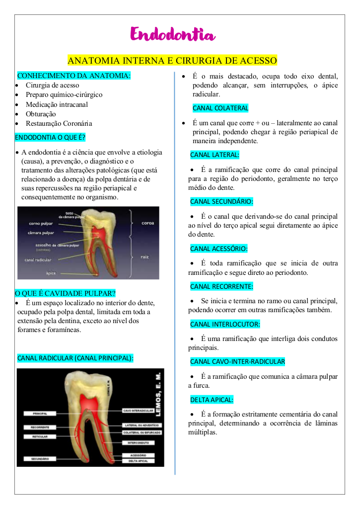 Resumo de Endodontia: Anatomia Interna e Canais Radiculares