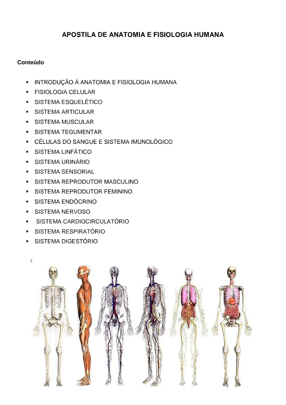 Apostila de Anatomia e Fisiologia Humana UFMG 2019