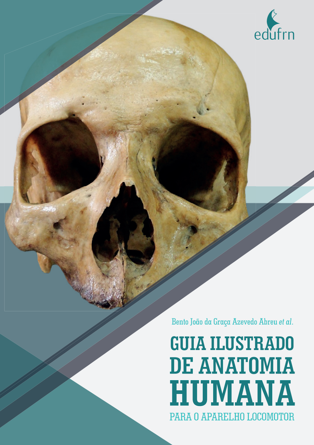 Guia Ilustrado de Anatomia Humana: Aparelho Locomotor