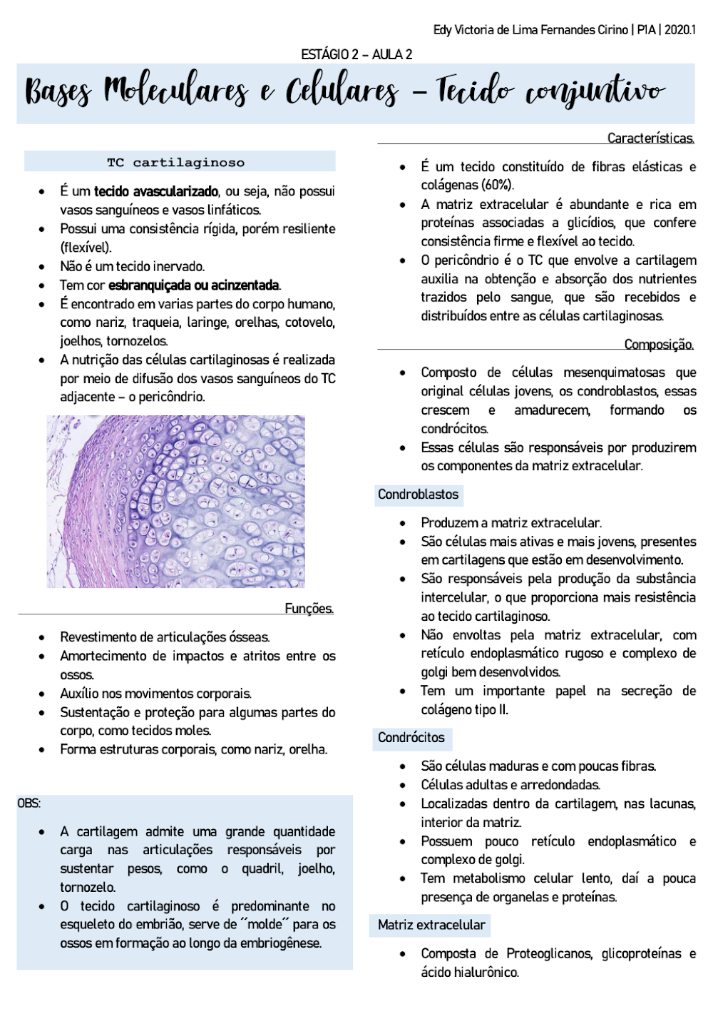 Tecido cartilaginoso e ósseo