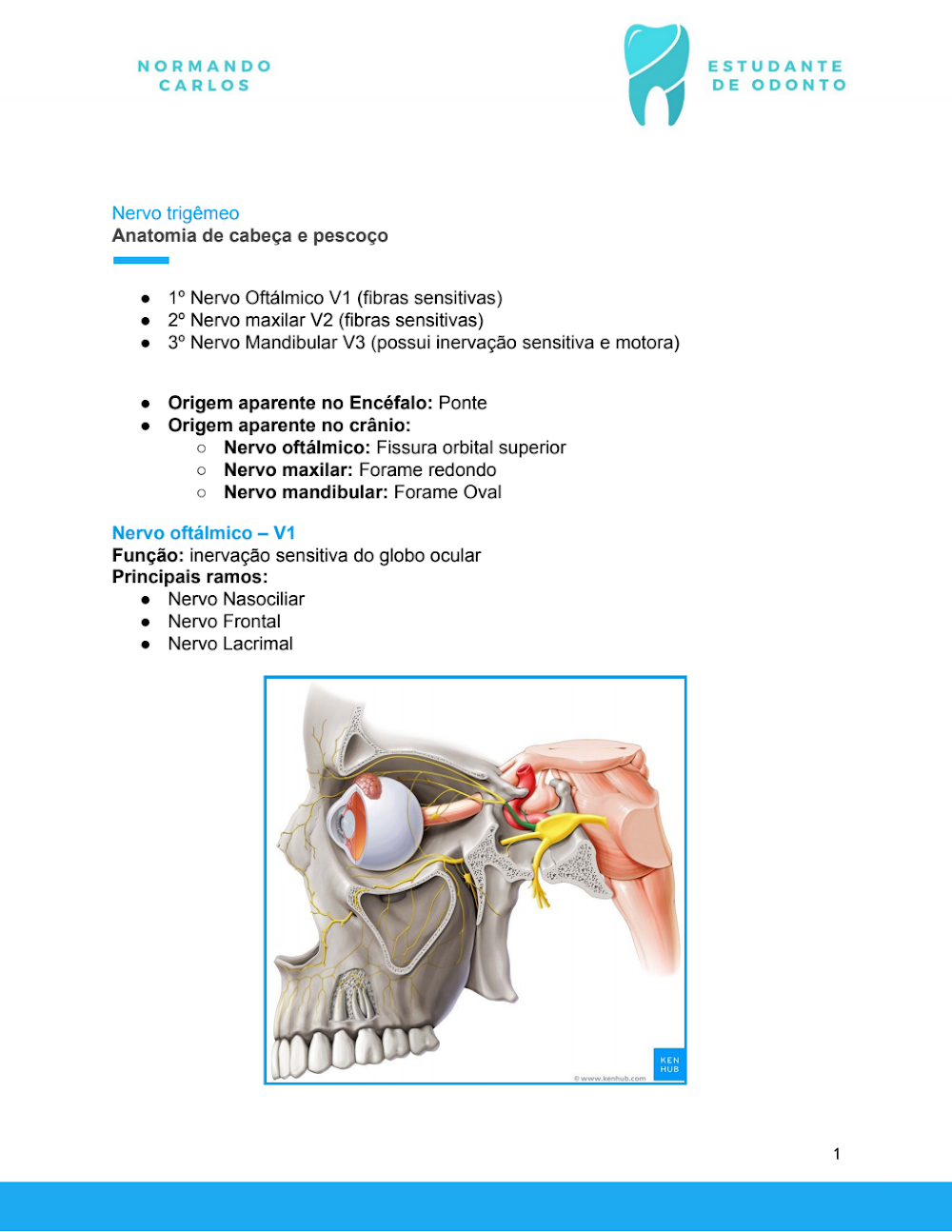 Nervo Trigêmeo: Anatomia Essencial para Odontologia