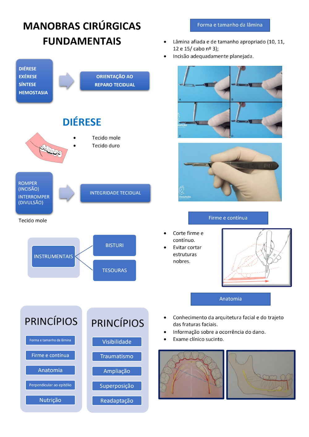 Manobras Cirúrgicas Fundamentais: Guia Técnico de Diérese