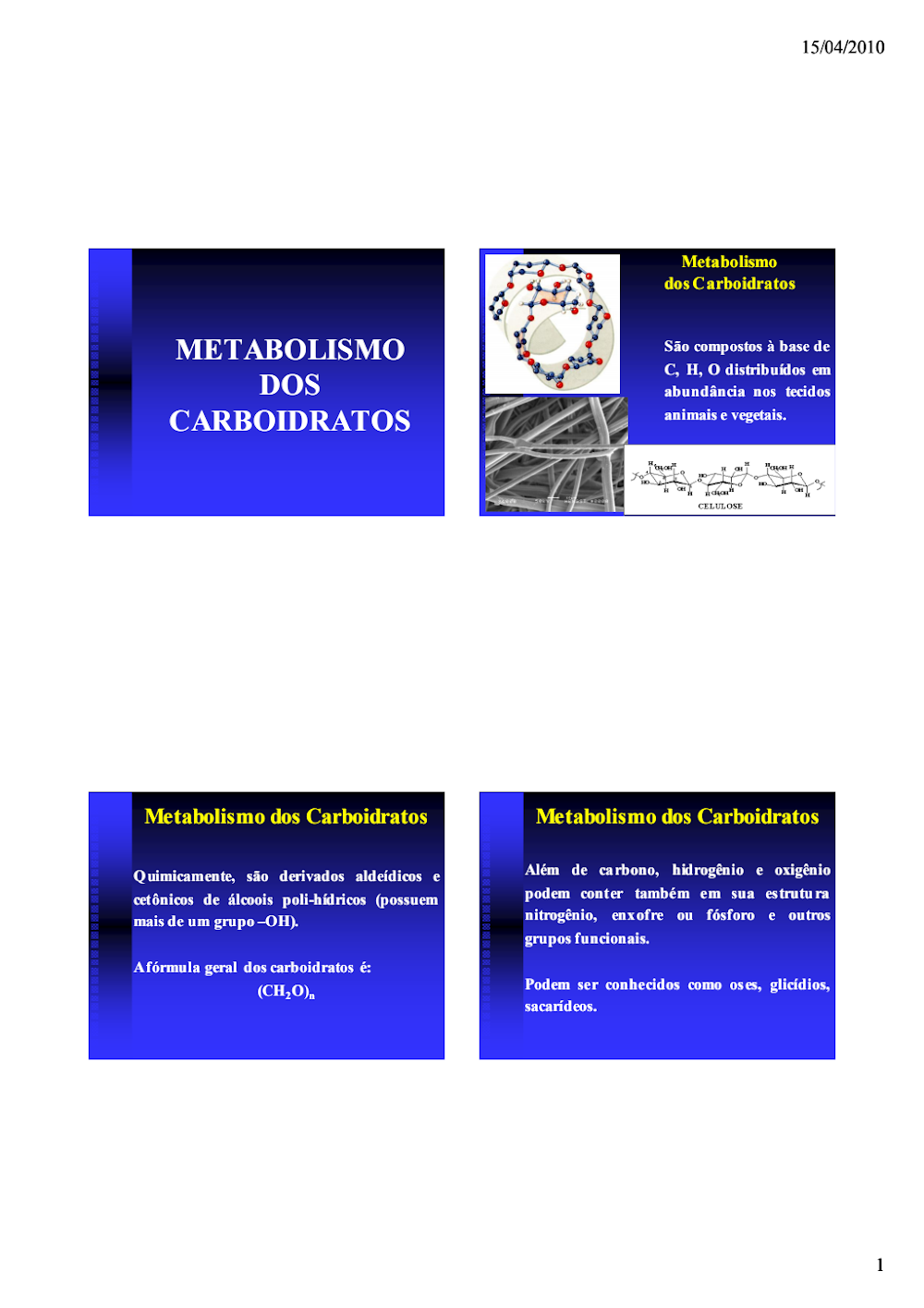 Metabolismo dos Carboidratos: Fundamentos e Estrutura Química