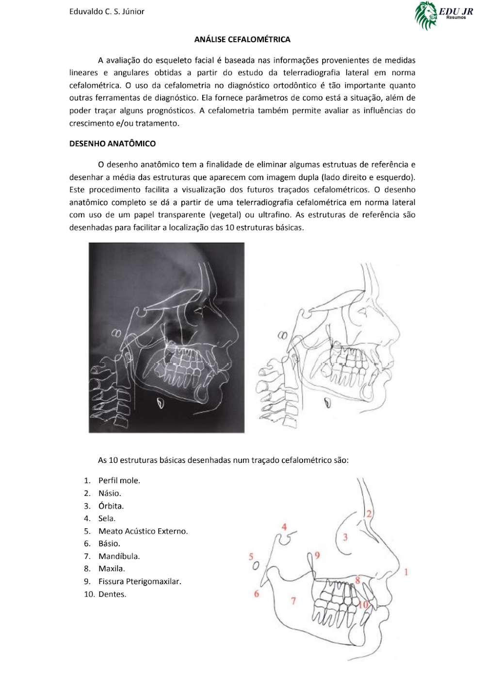 Análise Cefalométrica e Desenho Anatômico em Ortodontia