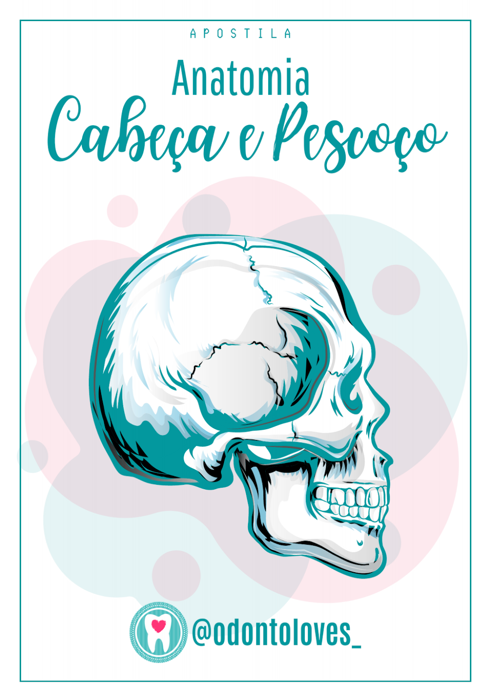 Anatomia Cabeça e Pescoço: Material de Estudo Odontológico