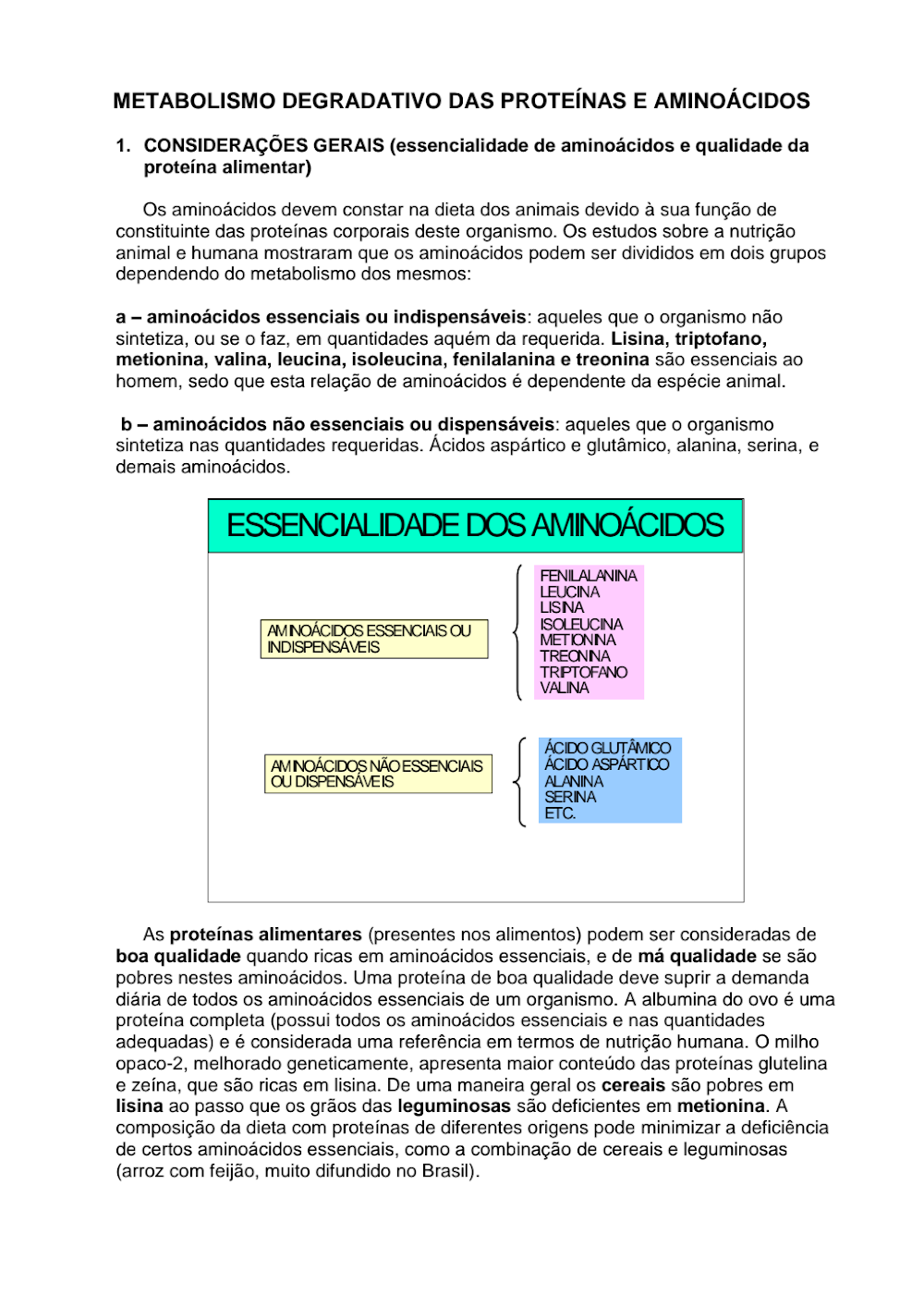 Metabolismo Degradativo das Proteínas e Aminoácidos