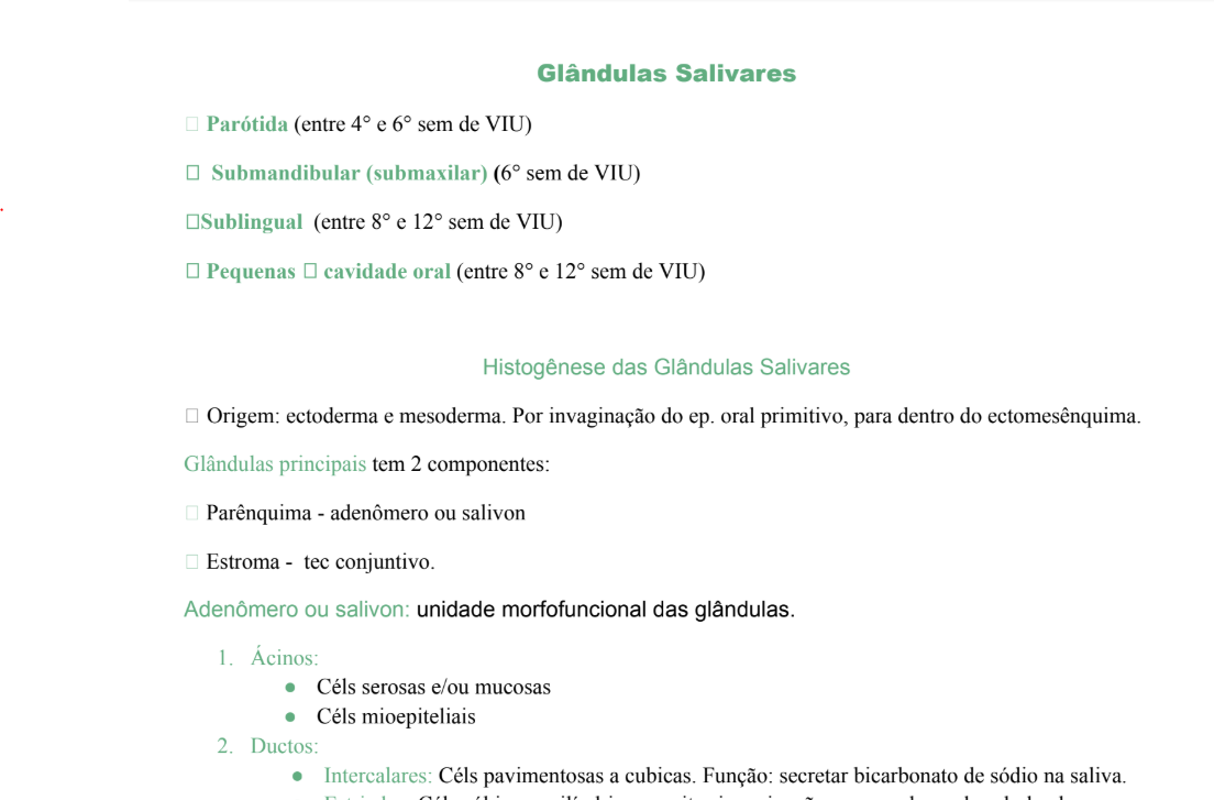 Glândulas Salivares: Anatomia, Fisiologia e Funções