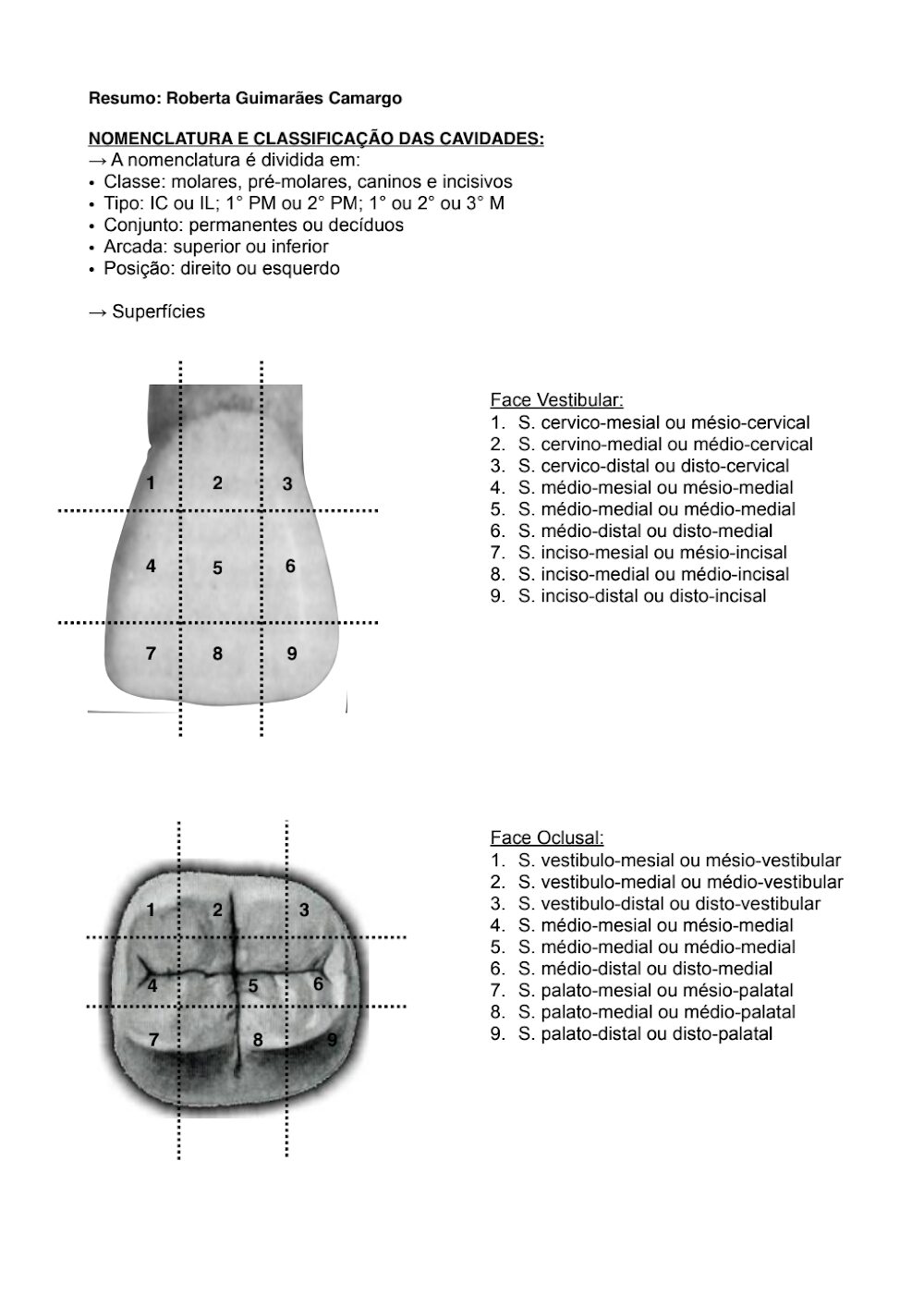 Resumo de Dentística: Guia Completo para Estudantes