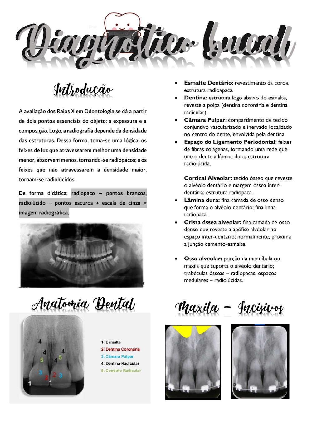 Diagnóstico Bucal: Guia de Radiologia Odontológica e Anatomia