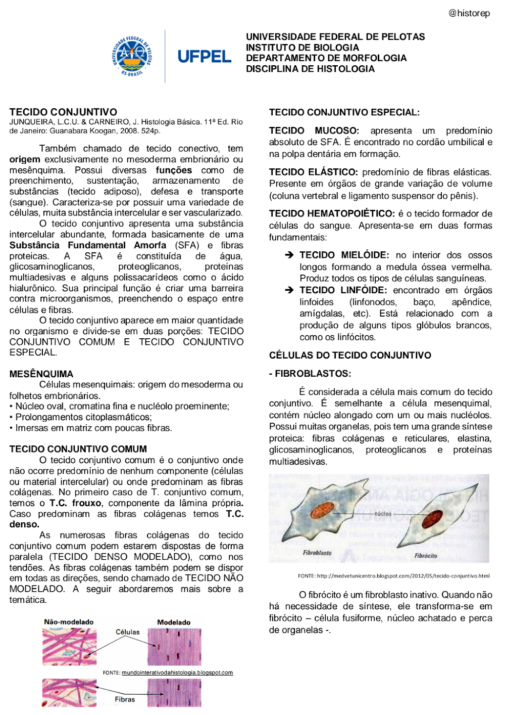 Resumo de Histologia: Tecido Conjuntivo por Junqueira – UFPEL