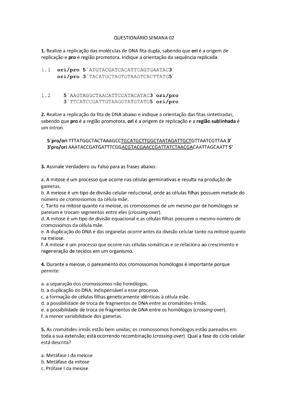 Questões de Biologia: Replicação DNA e Divisão Celular