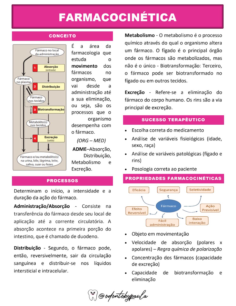 Farmacocinética: Conceitos, ADME e Sucesso Terapêutico