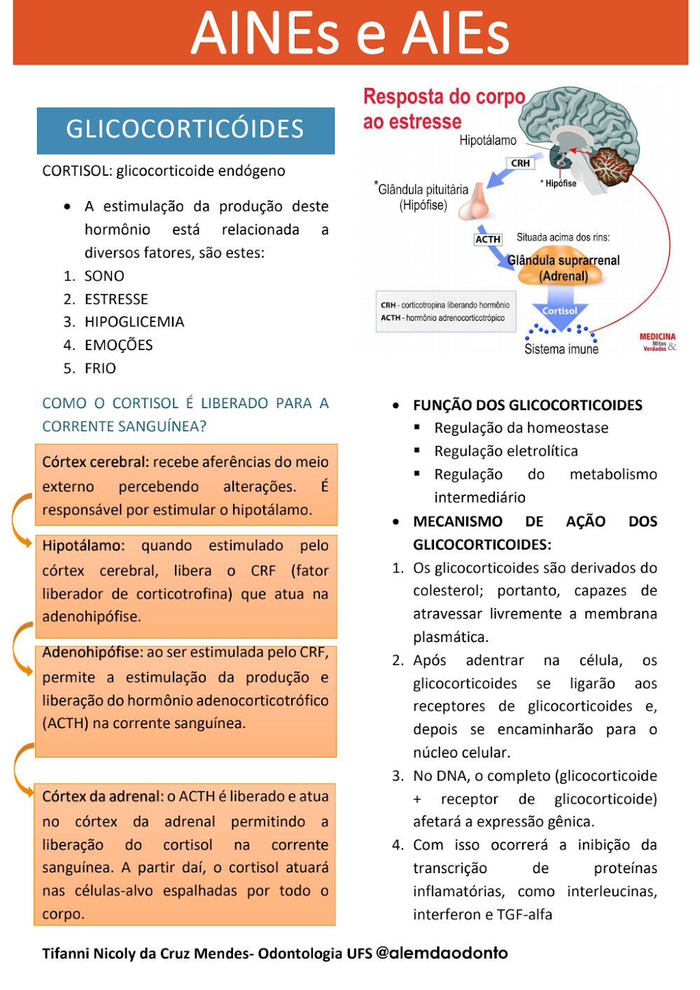 Glicocorticoides: Ação e Eixo Adrenal – Material Gratuito