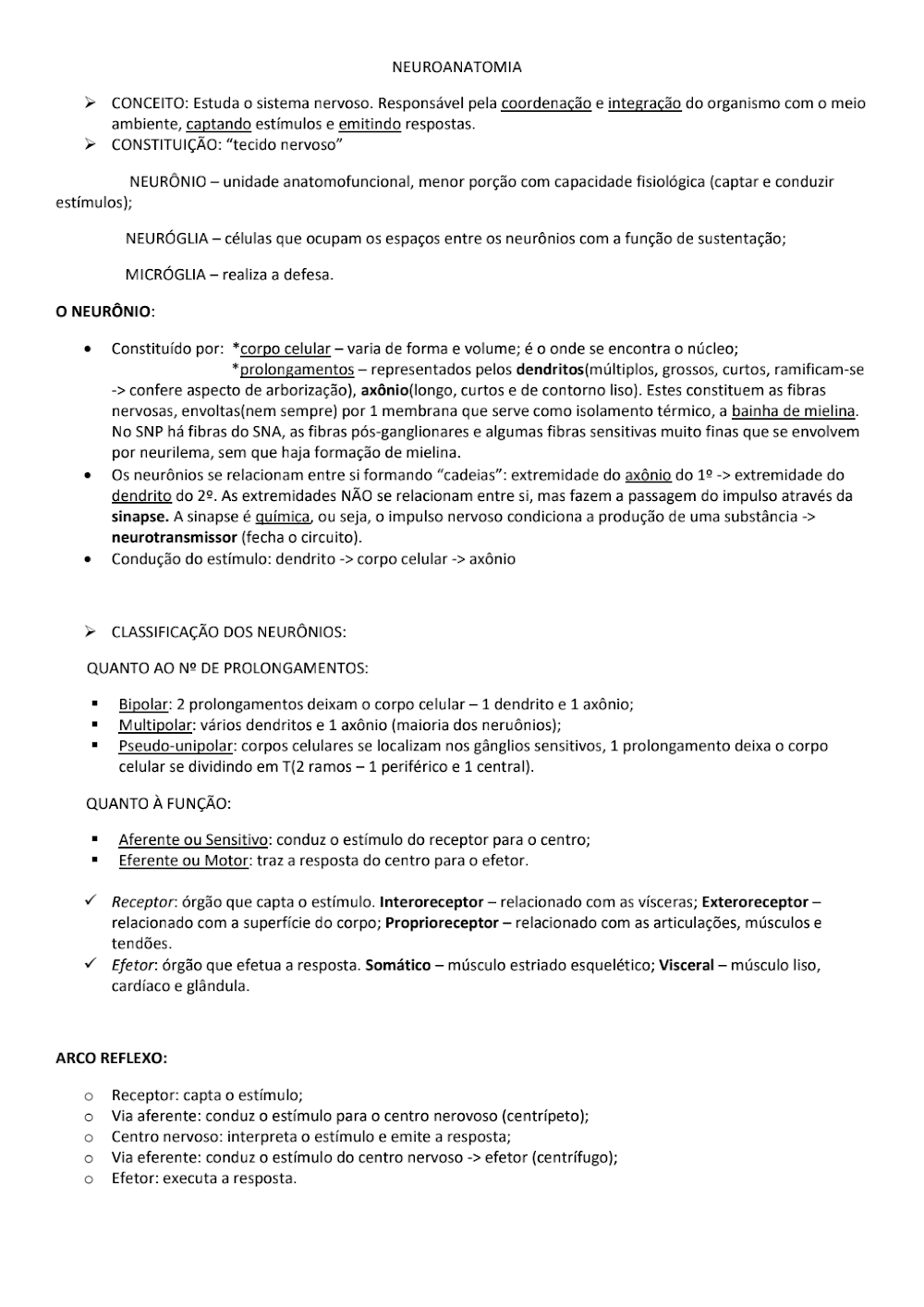 Resumo Completo de Neuroanatomia: Fundamentos Essenciais