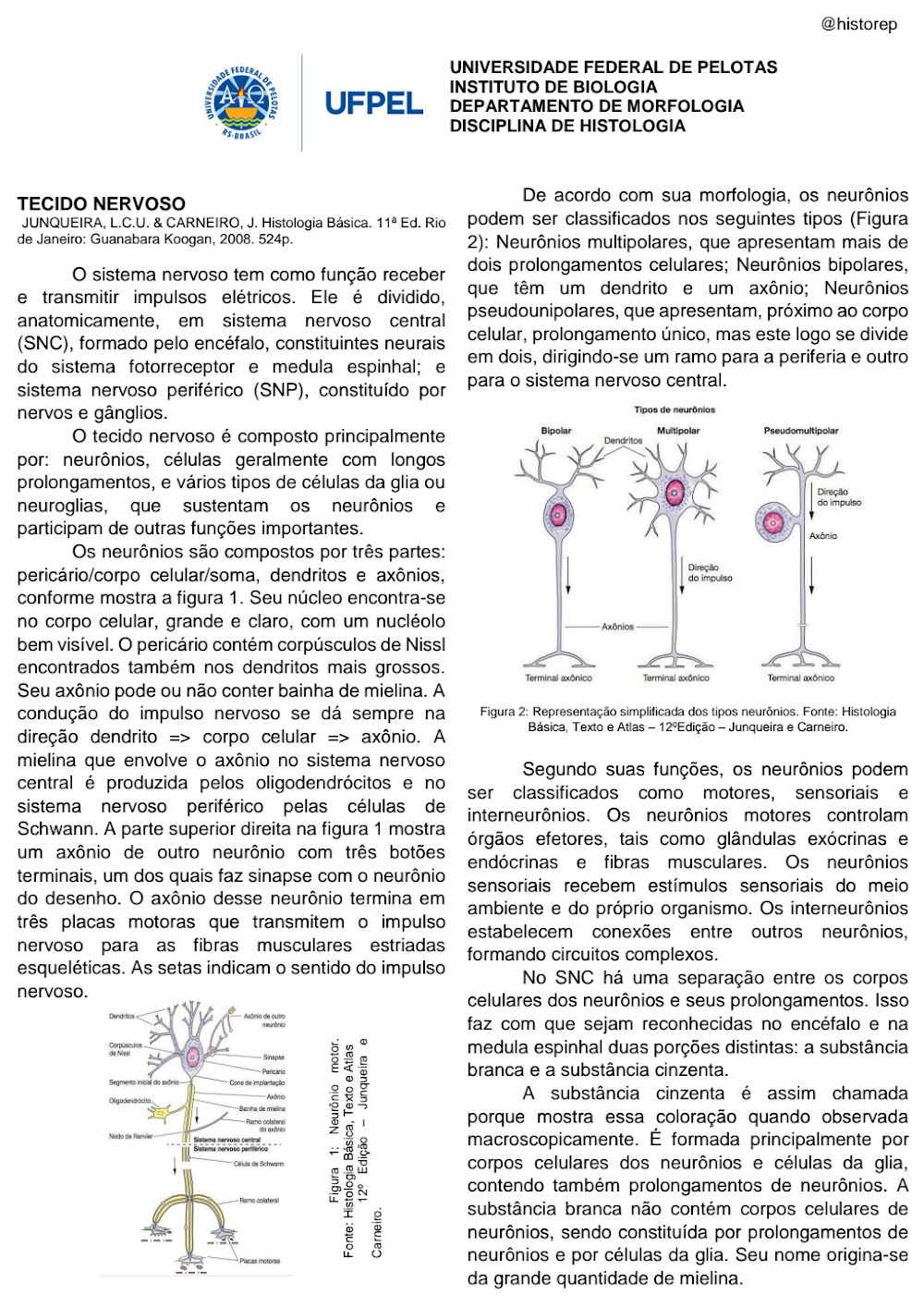 Resumo Detalhado: Tecido Nervoso, Neurônios e Células da Glia