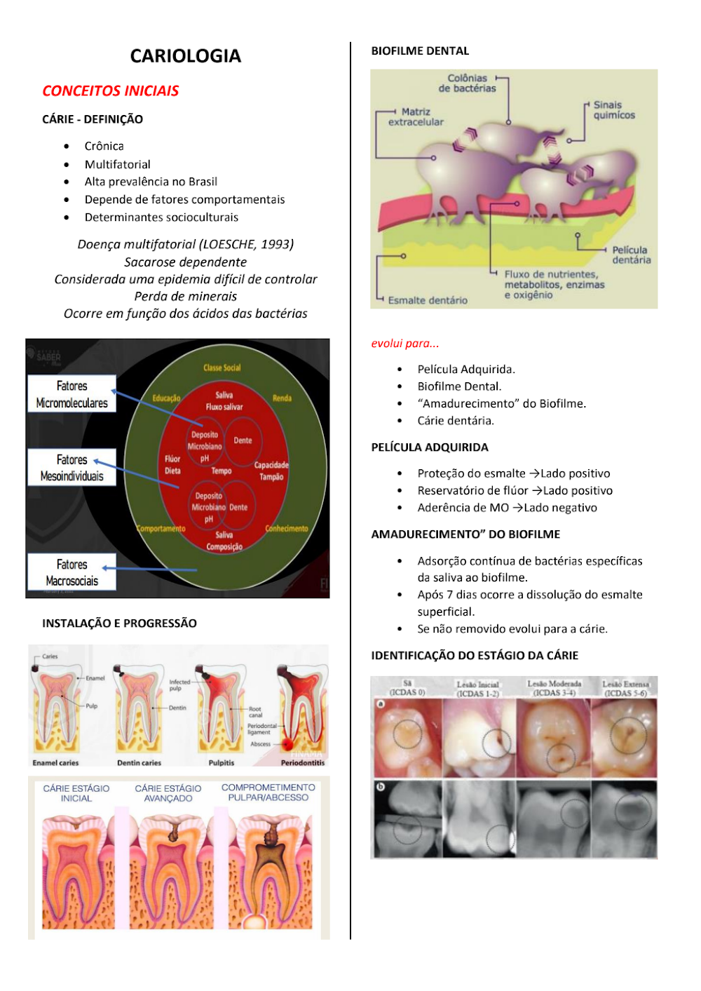 Cariologia: Abordagem Multiprofissional em Odontologia