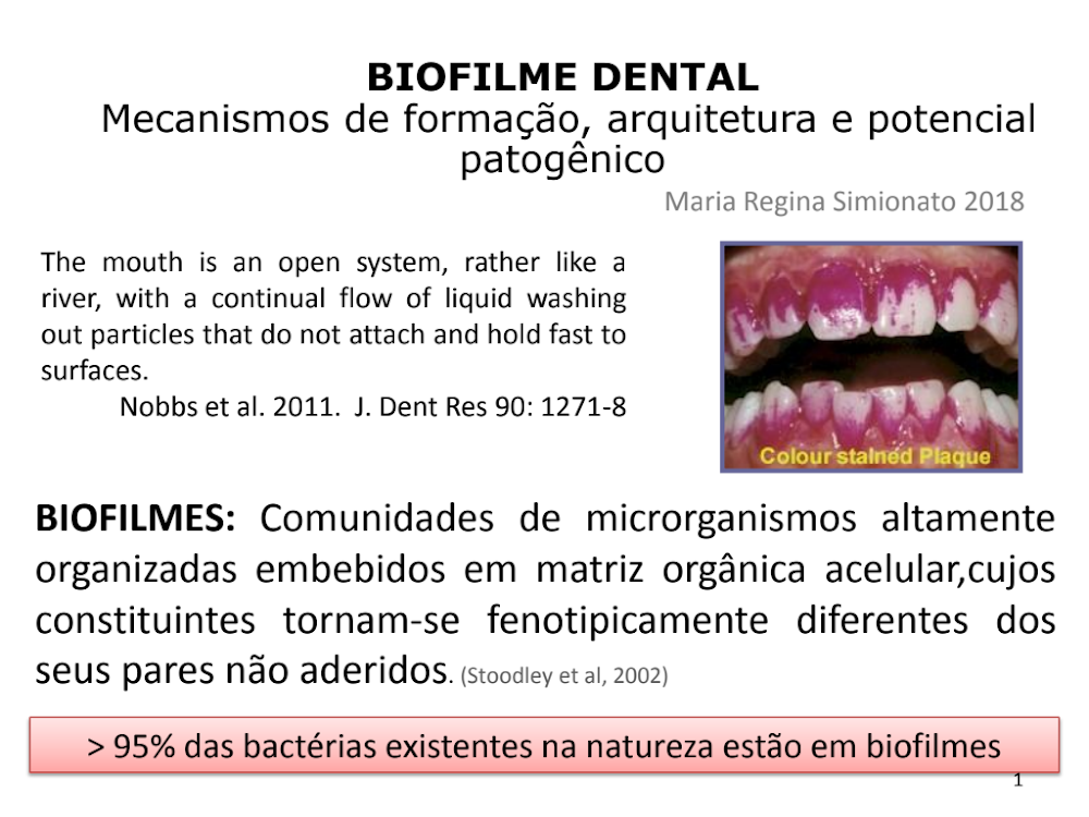 Biofilmes: Resumo Completo de Microbiologia Noturno 2018