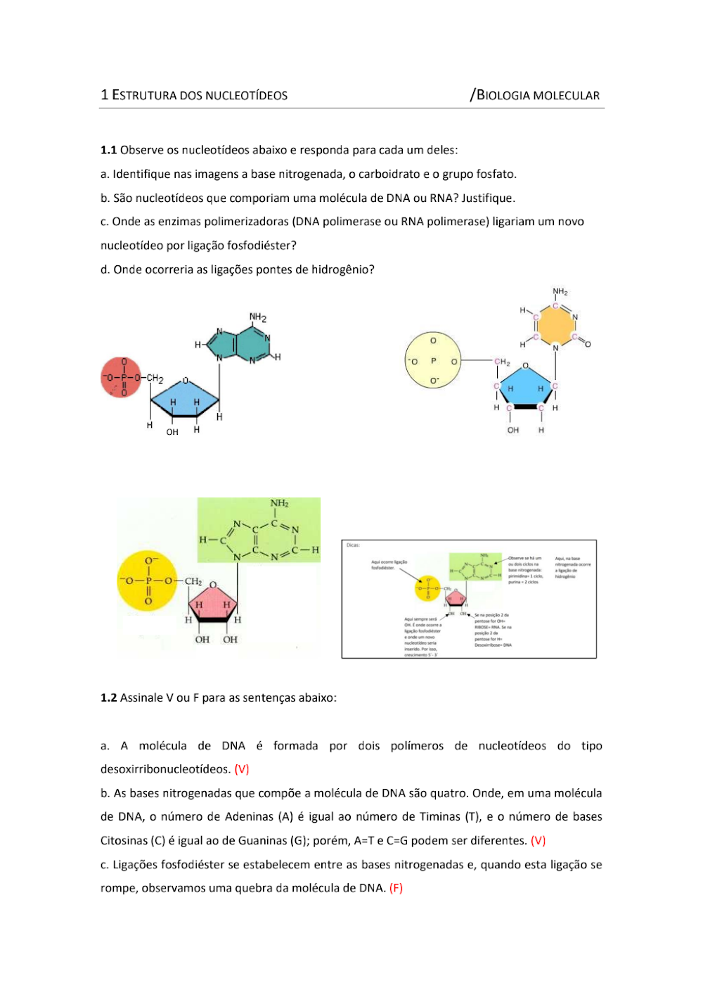 Estrutura dos Nucleotídeos: Questões de Biologia Molecular