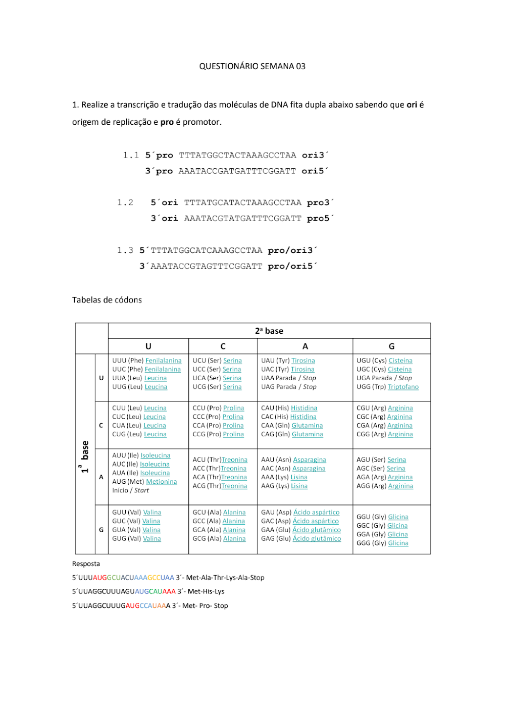 Questões de Biologia Molecular: Transcrição e Tradução