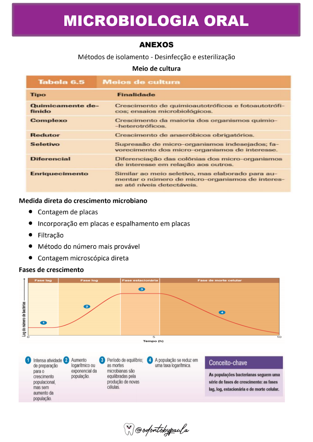 Microbiologia Oral: Meios de Cultura e Fases de Crescimento