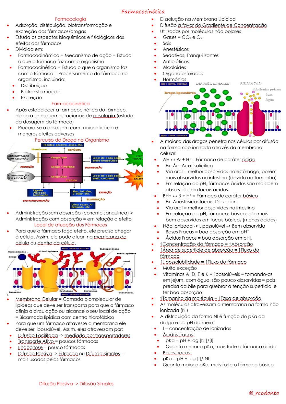 Farmacocinética: Percurso do Fármaco e Absorção Celular