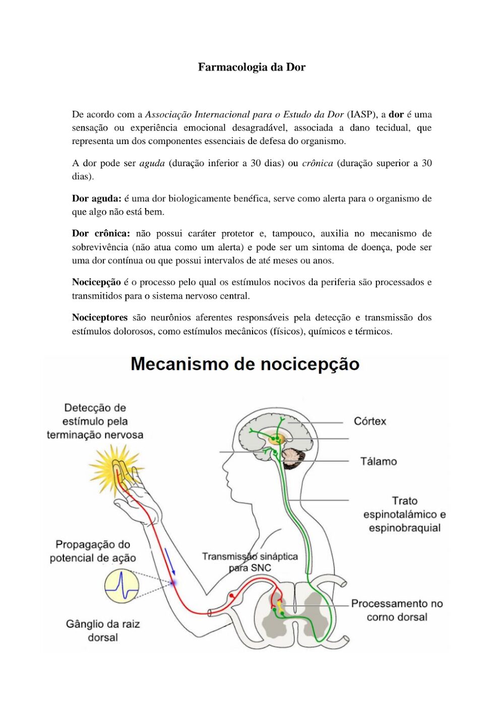 Farmacologia da Dor: O Mecanismo da Nocicepção Explicado