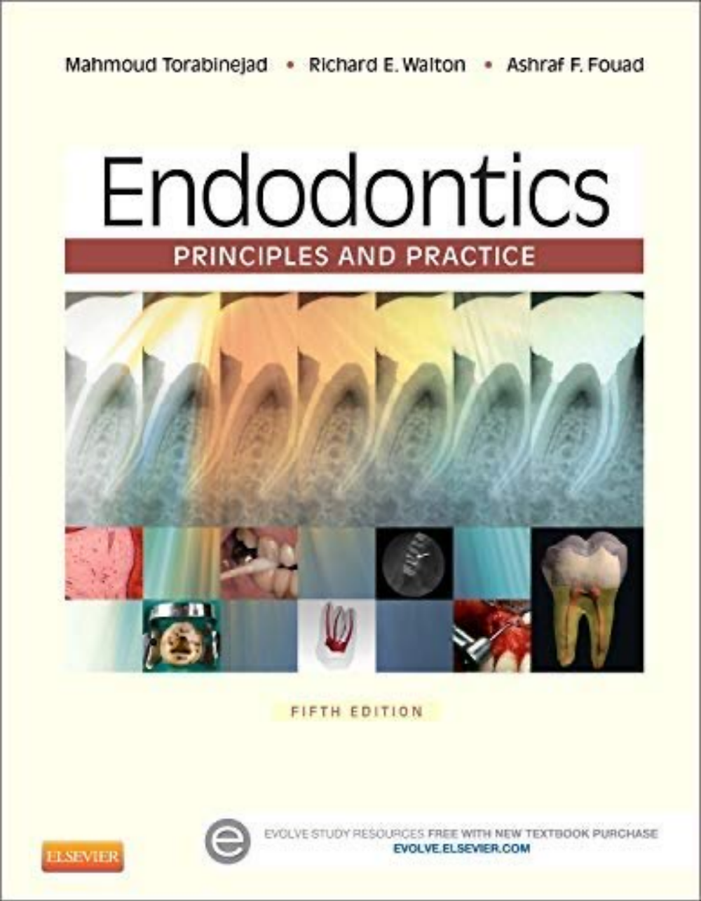 Endodontics: Principles and Practice – 5ª Edição (2015)