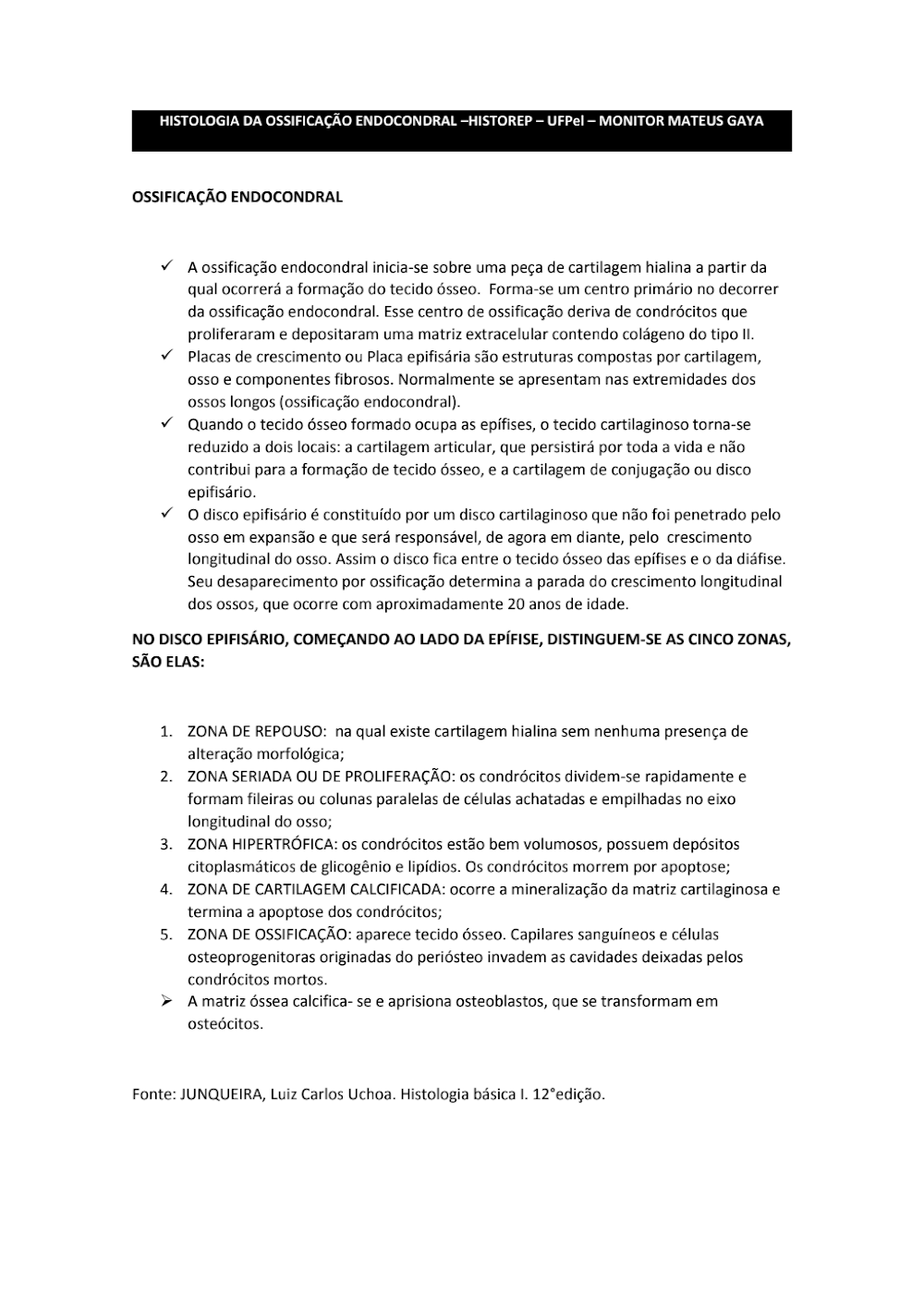 Ossificação Endocondral: Histologia Detalhada e Zonas Epifisárias