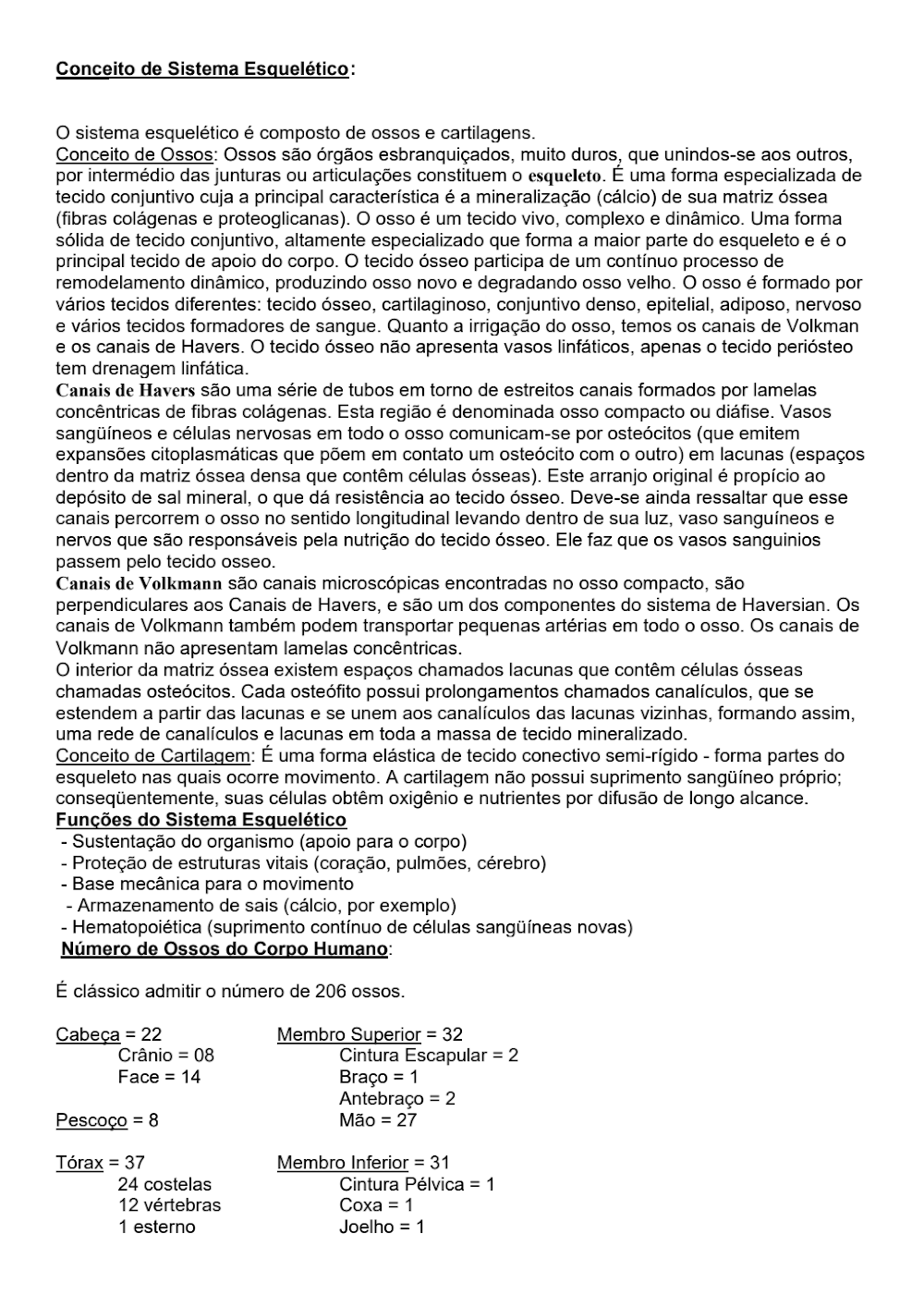 Resumo Completo do Sistema Esquelético Humano: Anatomia