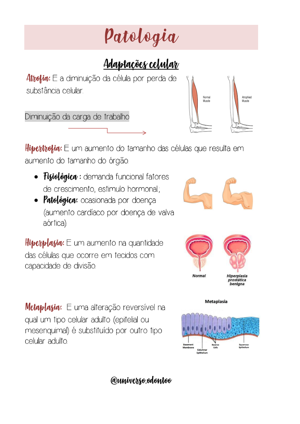 Resumo de Patologia: Adaptações Celulares Essenciais