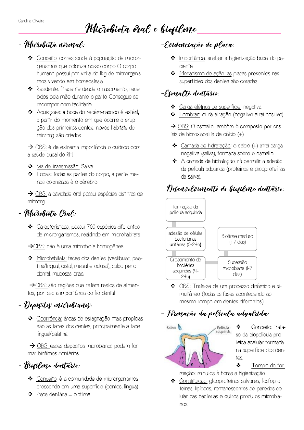 Resumo Completo: Microbiota Oral, Biofilme e Higiene Bucal