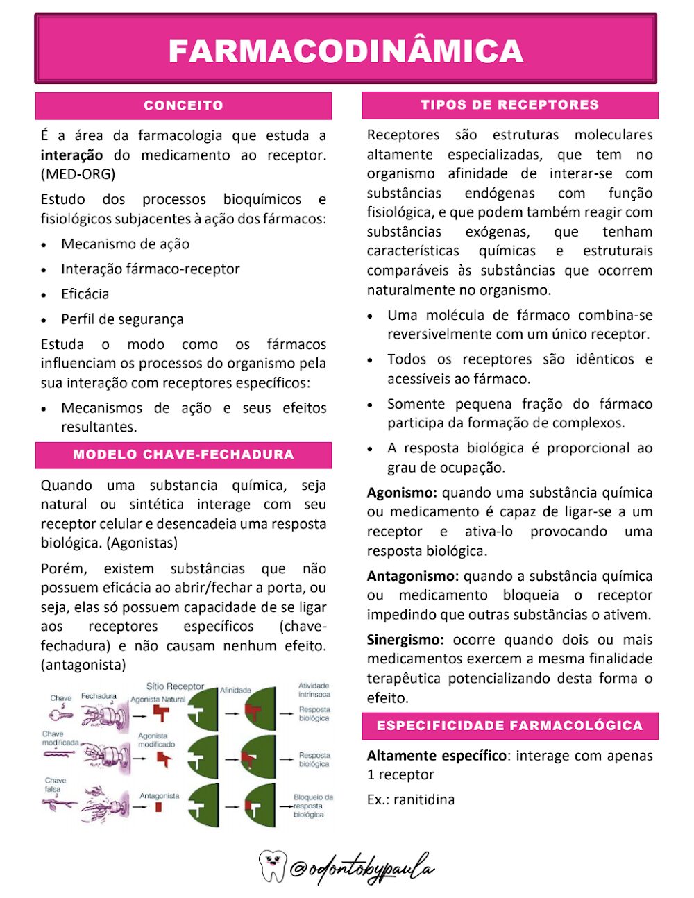 Farmacodinâmica: Resumo Detalhado dos Conceitos Chave