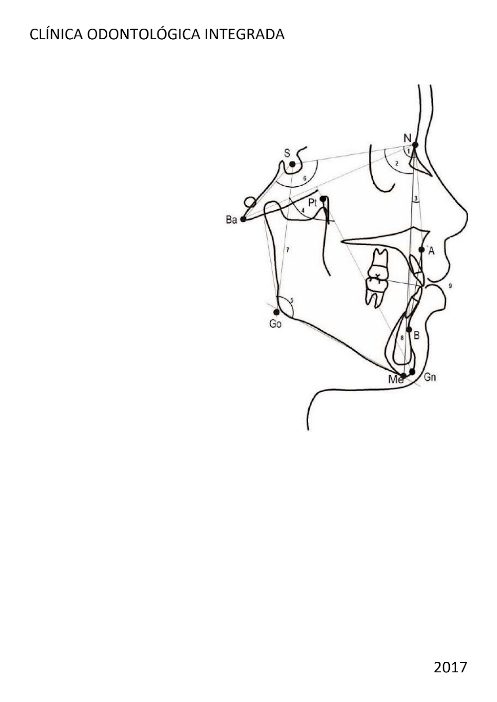 Diagrama Cefalométrico Odontológico Integrado (2017)
