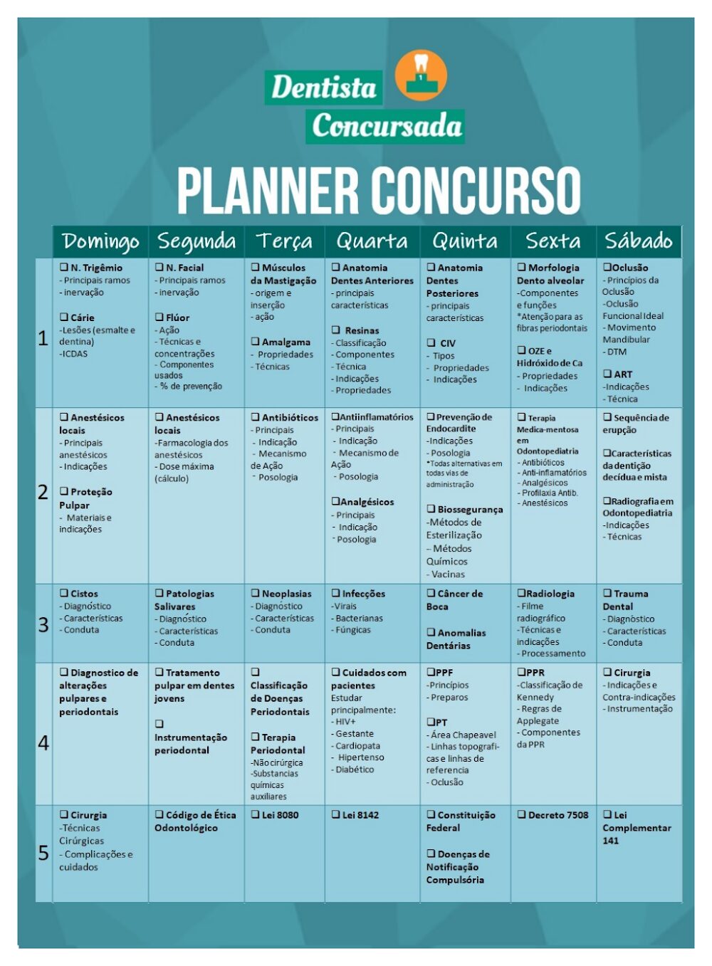 Planner de Estudos para Concurso Odontologia: Guia Completo
