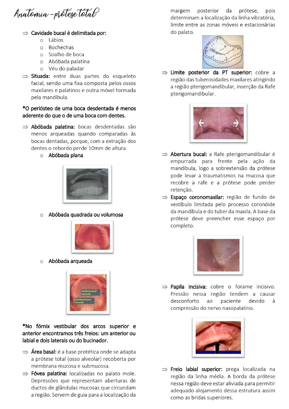 Anatomia da Prótese Total: Fundamentos e Estruturas Orais