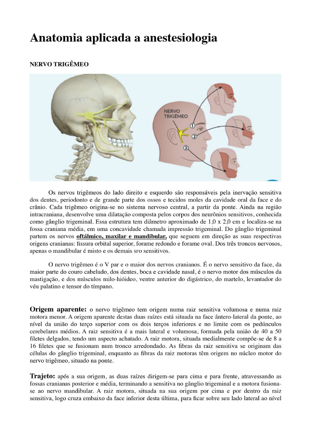 Anatomia Aplicada à Anestesia: Guia Completo