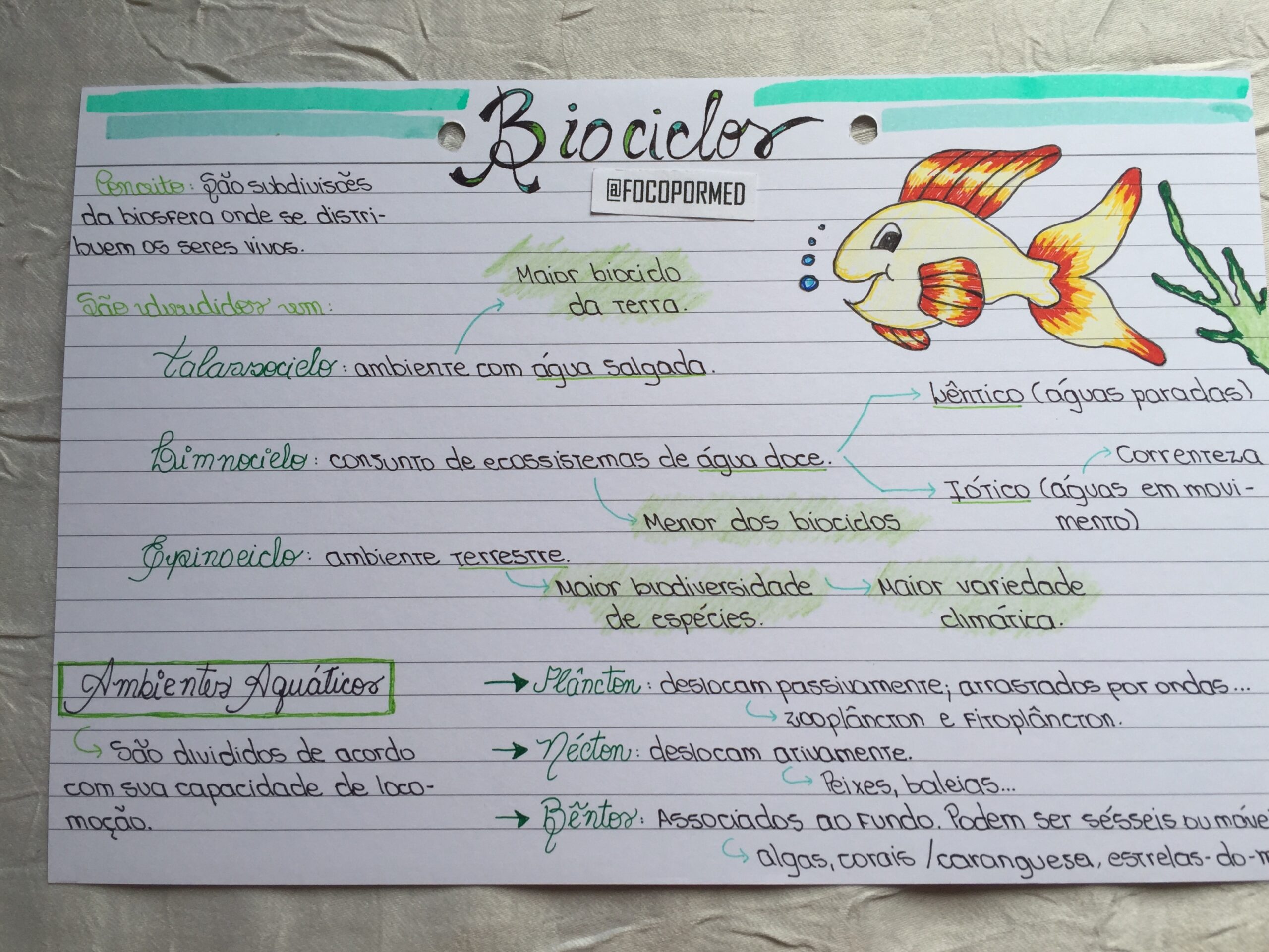 27 Mapas Mentais de Biologia para o ENEM: Baixe e Estude os Principais Conteúdos
